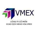 vmex2019