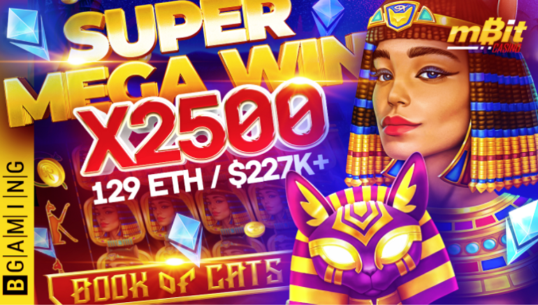 Player Wins $227k on BGaming’s Book of Cats Slot