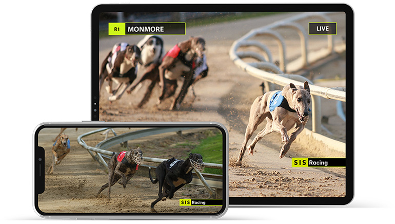 SIS Greyhound Service is Now Available to bet365 Punters