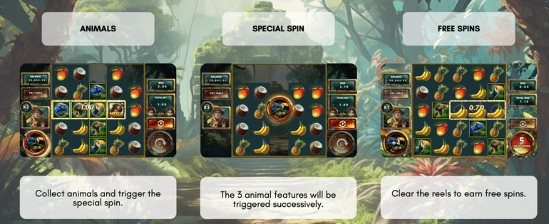 Jungle Break Slots Design