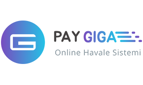 Pay Giga Logo