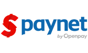Paynet Logo