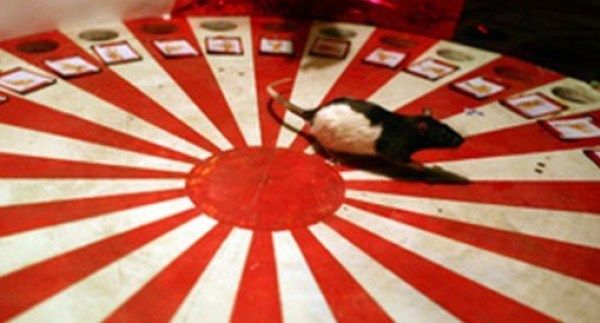 Rat Roulette