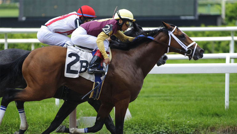 BetBooster Boosts Sports Betting Fortunes with Unique Betting Data