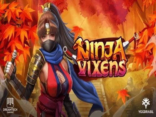 Ninja Vixens Screenshot