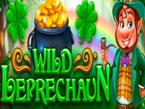 Wild Leprechaun Screenshot