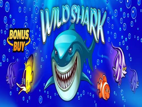 Wild Shark Bonus Buy Screenshot