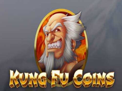 Kung Fu Coins Screenshot
