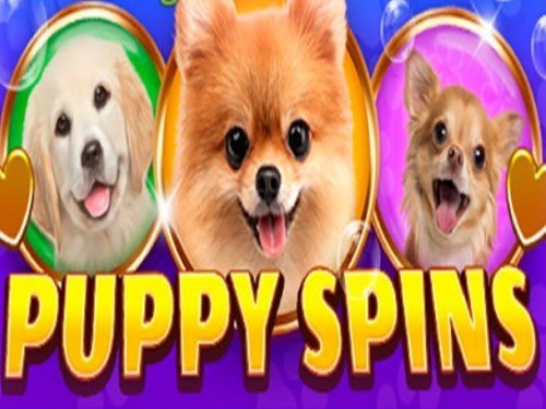 Puppy Spins Screenshot