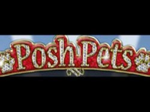 Posh Pets Screenshot