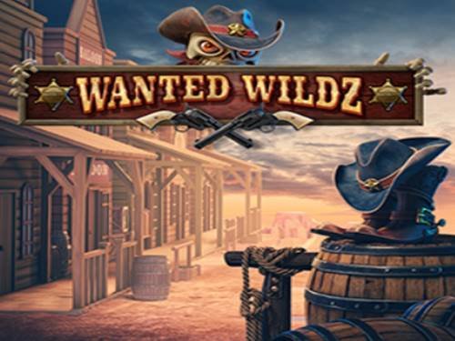 Wanted Wildz Screenshot