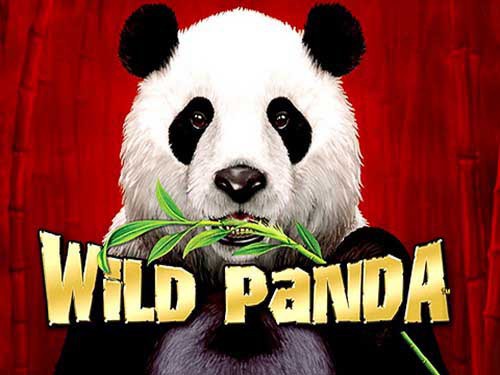 Wild Panda Screenshot