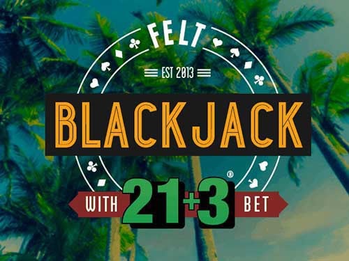 Blackjack 21 Plus 3 Screenshot