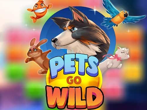 Pets Go Wild Screenshot