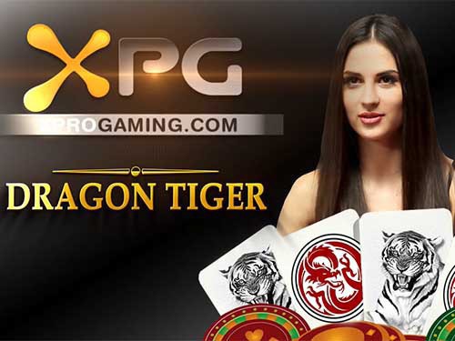 Dragon Tiger Screenshot